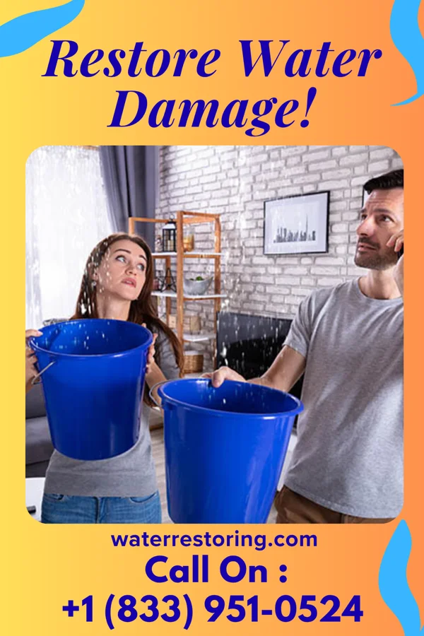 water restoration First Storm Damage Professionals Belvedere