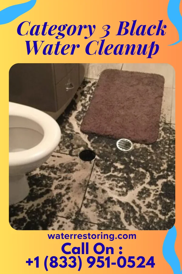 Category 3 Black Water Cleanup in Belvedere, SC