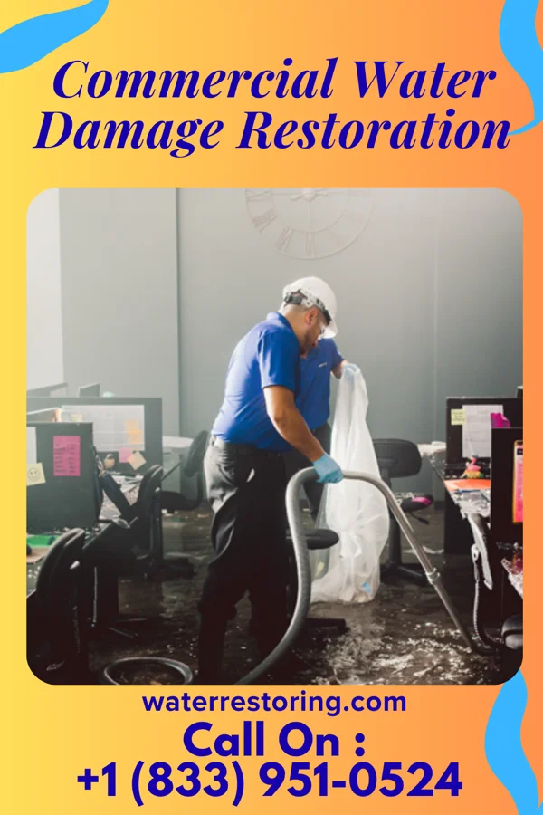 Commercial Water Damage Restoration in Belvedere, SC