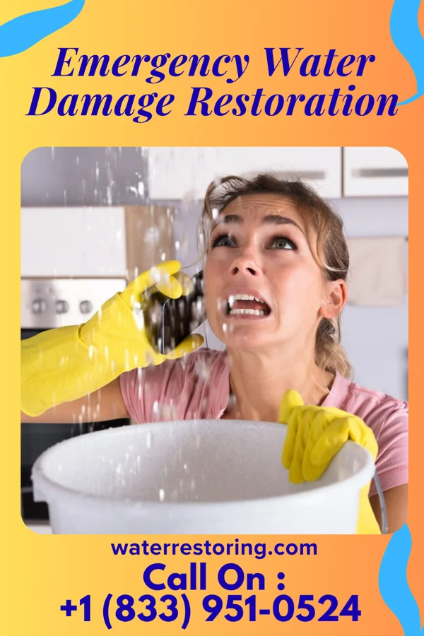 Emergency Water Damage Restoration in Belvedere, SC